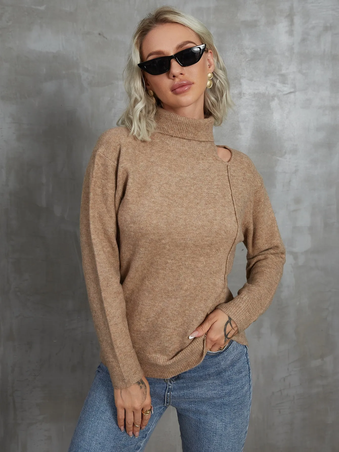 Casual Plain Cut Out Long Sleeve High Neck Regular Women Sweater