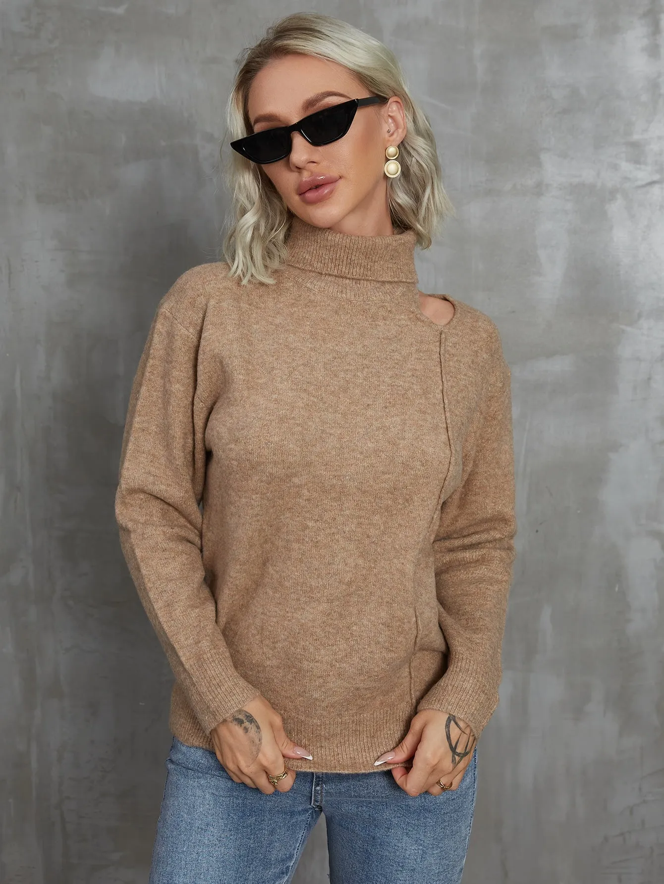 Casual Plain Cut Out Long Sleeve High Neck Regular Women Sweater