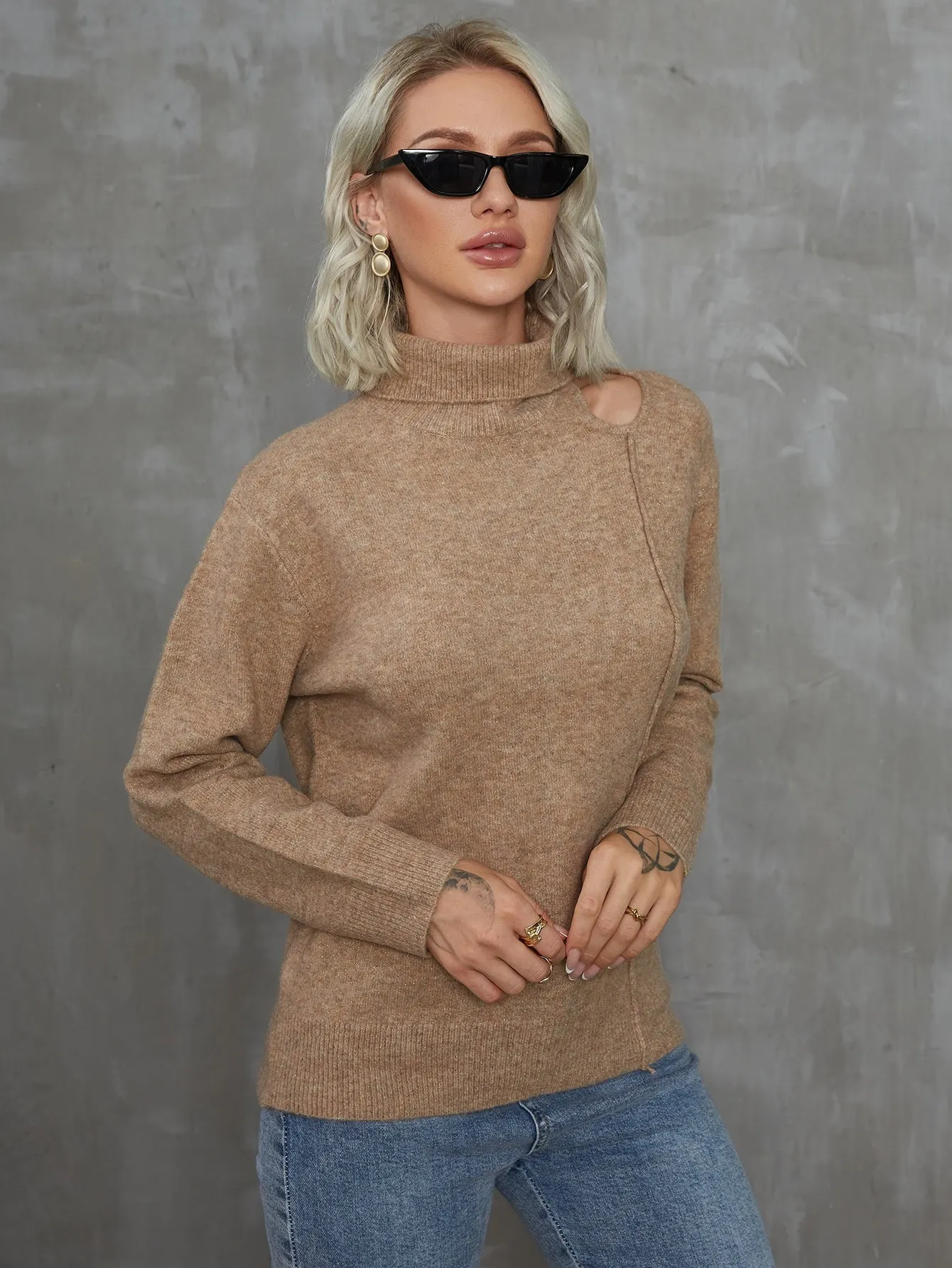 Casual Plain Cut Out Long Sleeve High Neck Regular Women Sweater